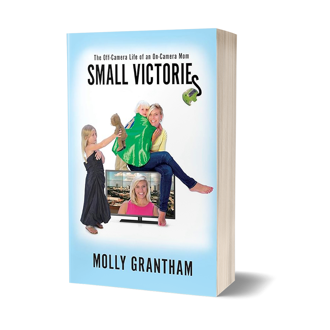 Small Victories (Book One)